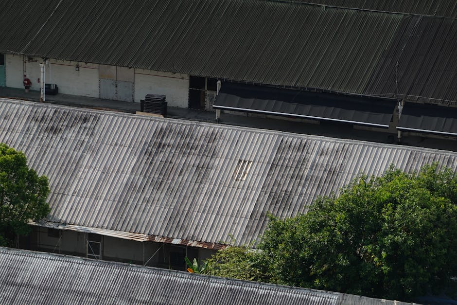 Dakbrandveiligheid — NEN Certificaat voorbeeld 1