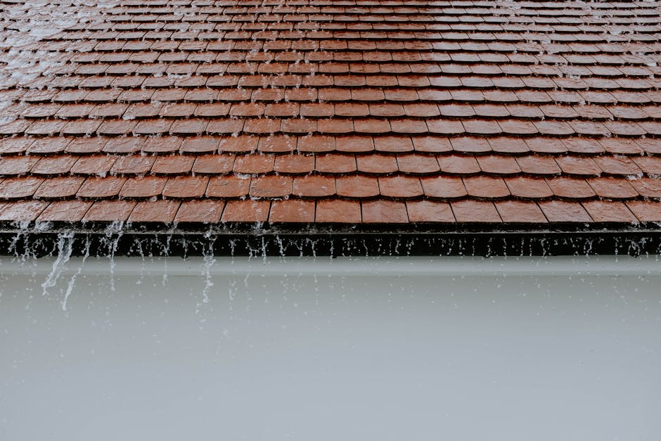 Dakrenovatie — Volledig Dak Vervangen voorbeeld 6