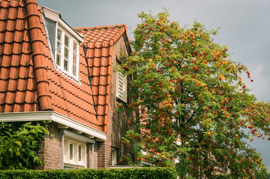 Daklekkage Reparatie — Binnen 2 Uur voorbeeld 2