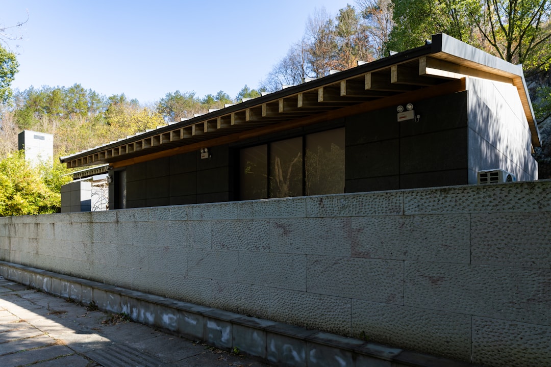 Dakrenovatie — Volledig Dak Vervangen voorbeeld 2