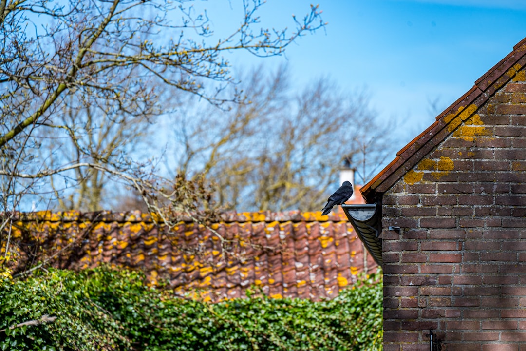 Schoorsteen Verwijderen — Met Vergunning voorbeeld 1