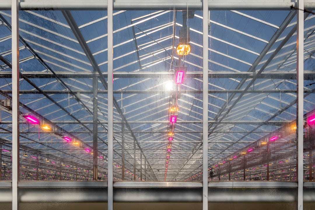 Daklekkage Reparatie — Binnen 2 Uur voorbeeld 1